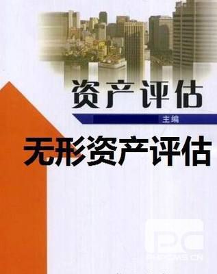 整体资产评估